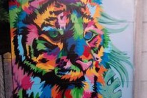 Tigre-pop-art